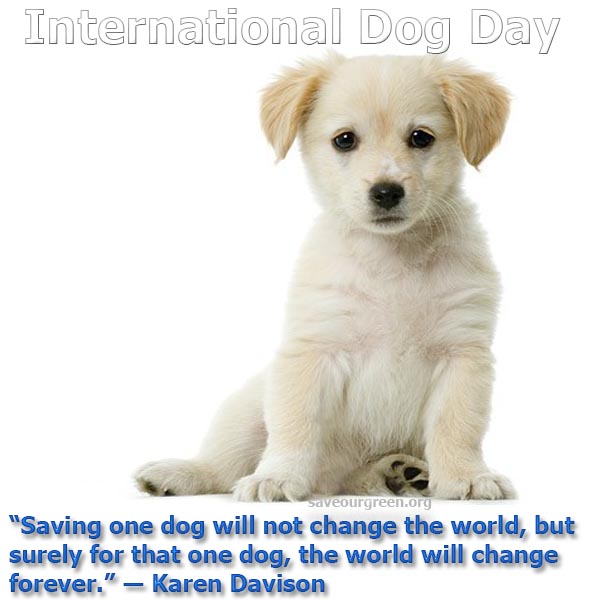 International Dog Day - Save Our Green