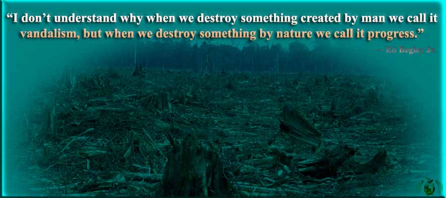 I don’t understand why when we destroy something created by man we call it vandalism, but when we destroy something by nature we call it progress.