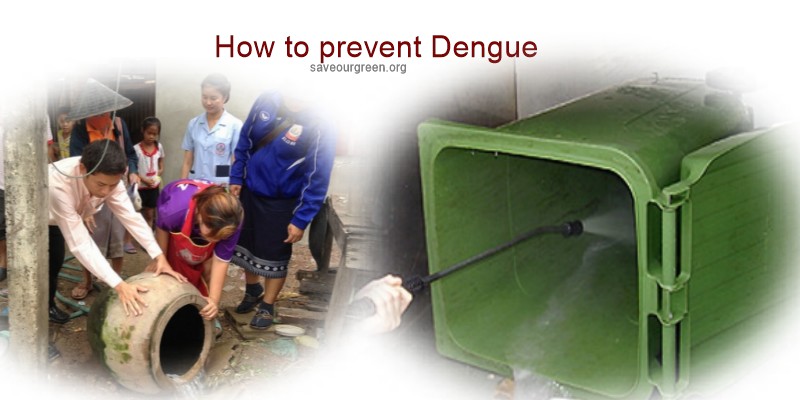 Some awareness can prevent dengue