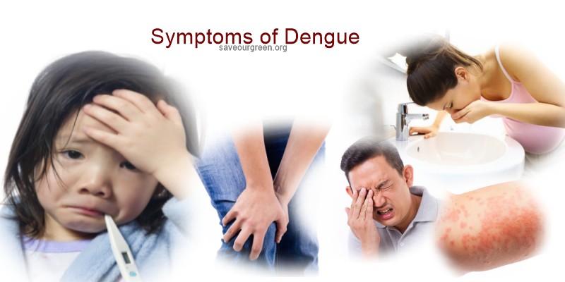 Symptoms of Dengue fever