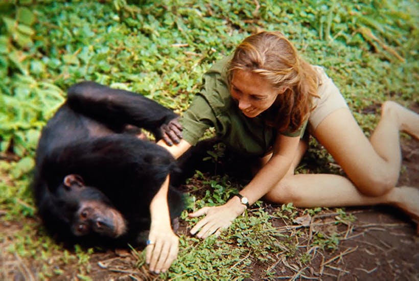 Jane Goodall