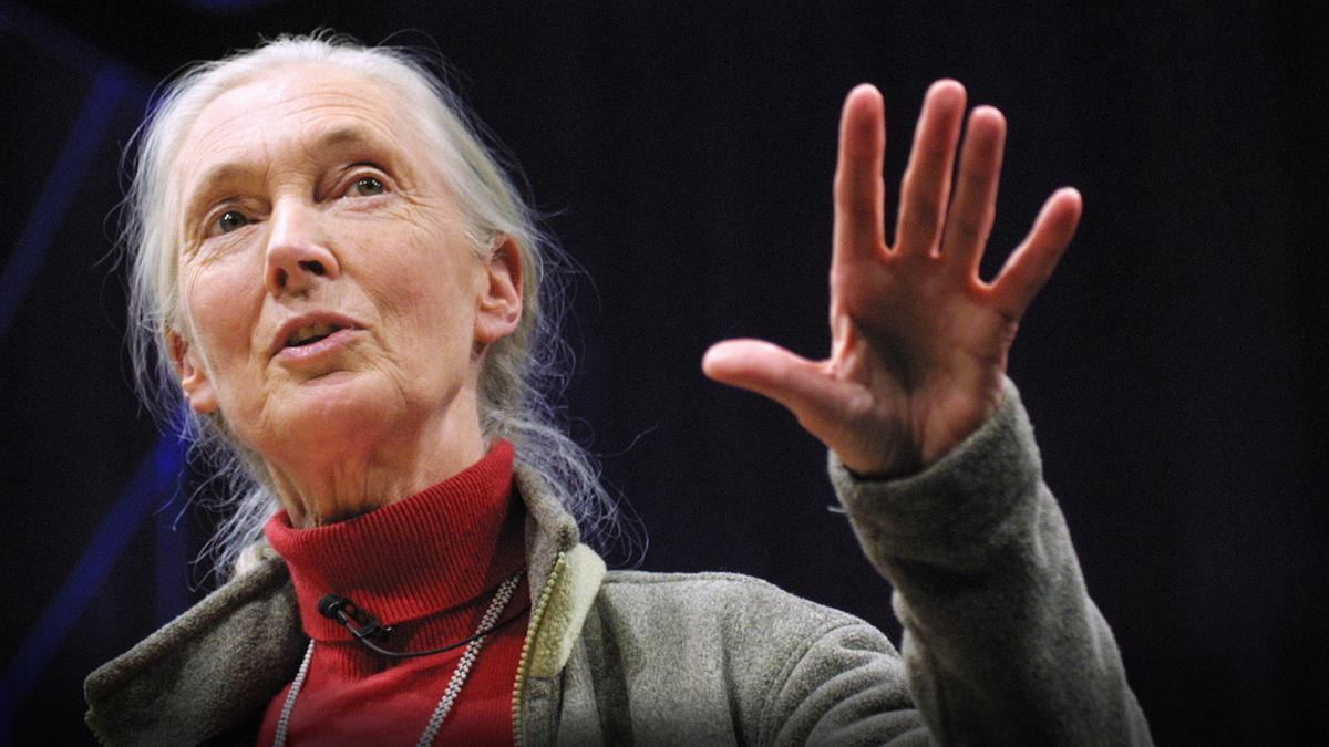 Jane Goodall