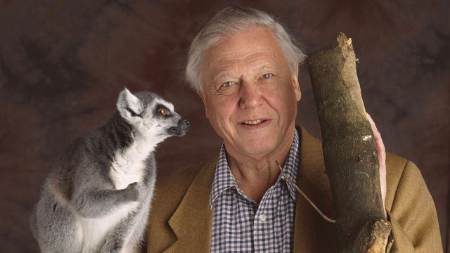 David Attenborough - Save Our Green