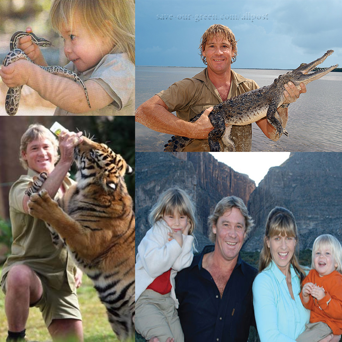 Steve Irwin- The Crocodile Hunter - Save Our Green