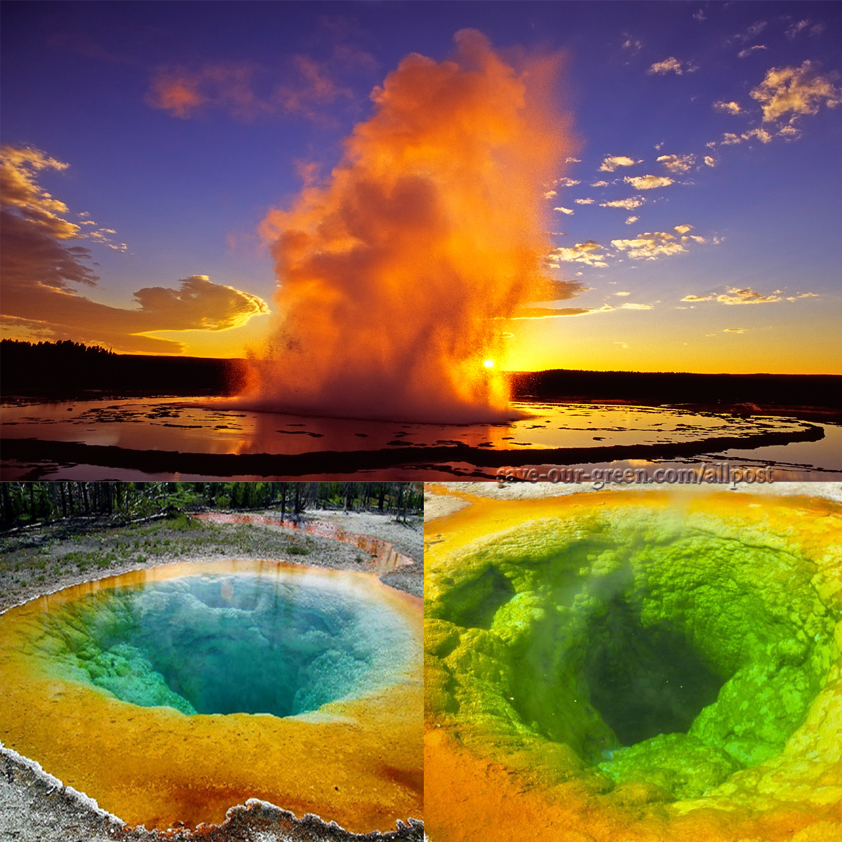 The Yellowstone National Park - Save Our Green
