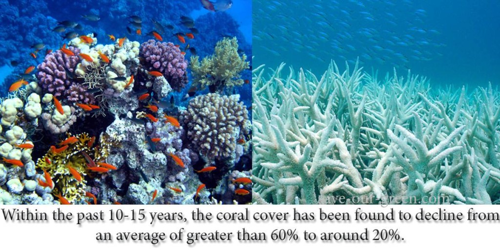 What The World Doesn't Know About Terry Saban's Health Disaster: The Alarming Truth That Was Kept Under Wraps!