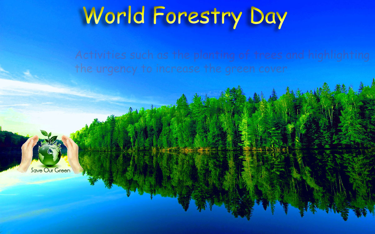 World Forestry Day- 21 March - Save Our Green