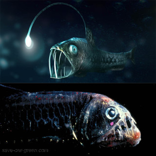 Viperfish - Save Our Green
