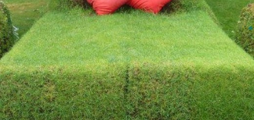 Grass-field garden bed