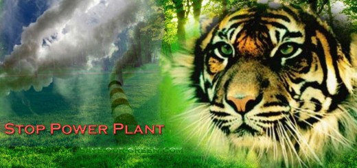 Save Sundarban, Save Our Green