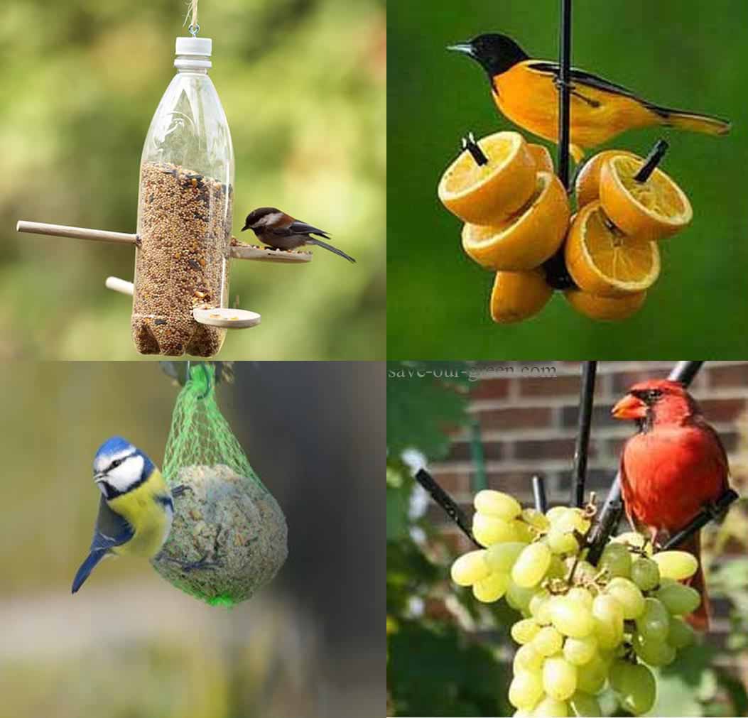 Albums 101+ Pictures Pictures Of Homemade Bird Feeders Superb 10/2023