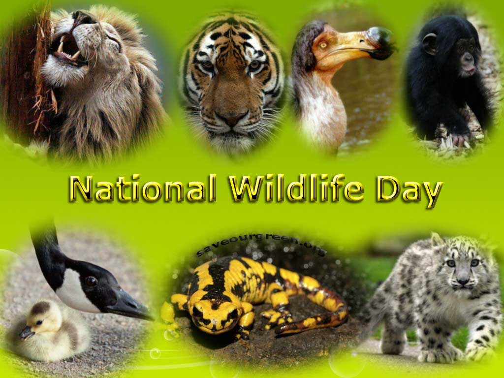 National Wildlife Day Save Our Green