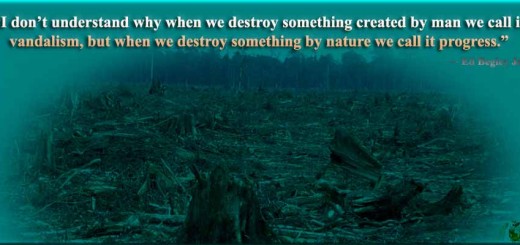 I don’t understand why when we destroy something created by man we call it vandalism, but when we destroy something by nature we call it progress.