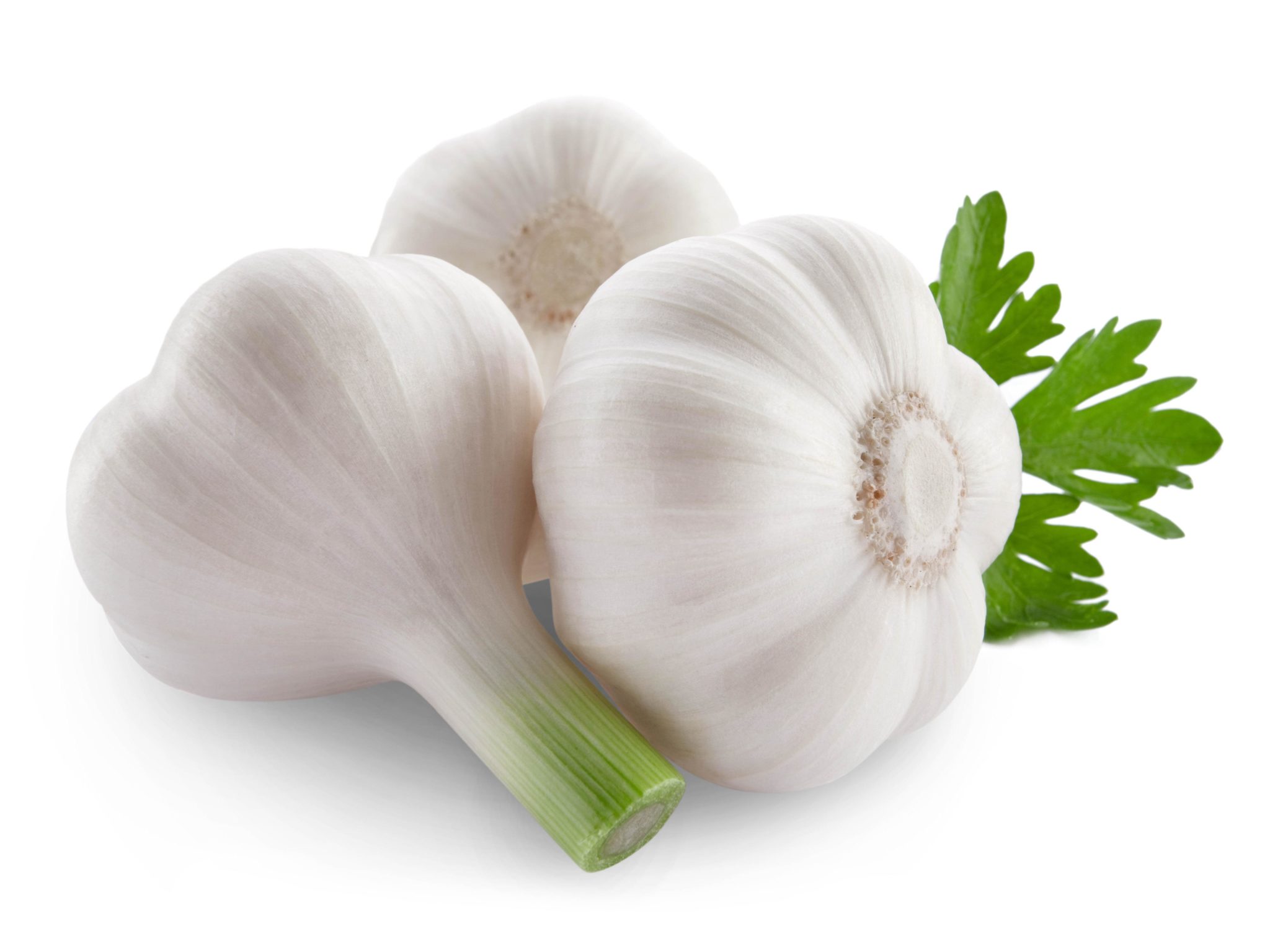 Garlic And It s Health Benefits Save Our Green