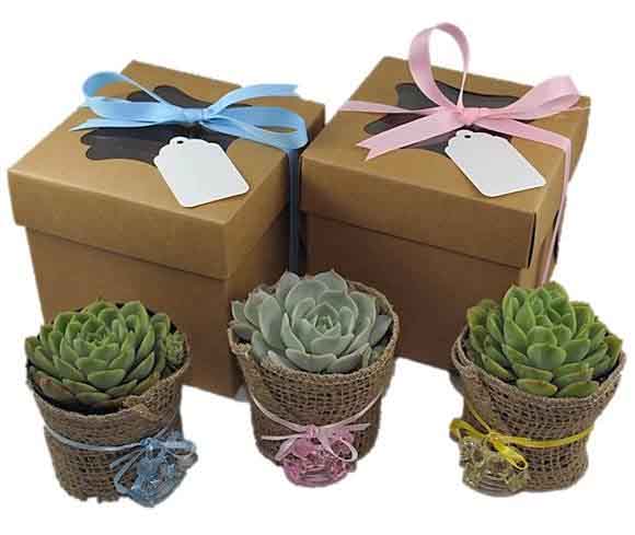 Green Party Favors And Gifts