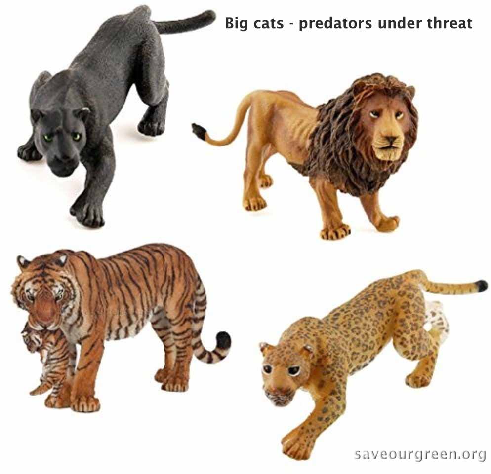 The 2018 theme is "Big cats - predators under threat"